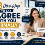 other ways to say i agree with you formally