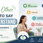 other ways to say i understand
