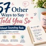 other ways to say i told you so