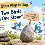 other ways to say kill two birds with one stone
